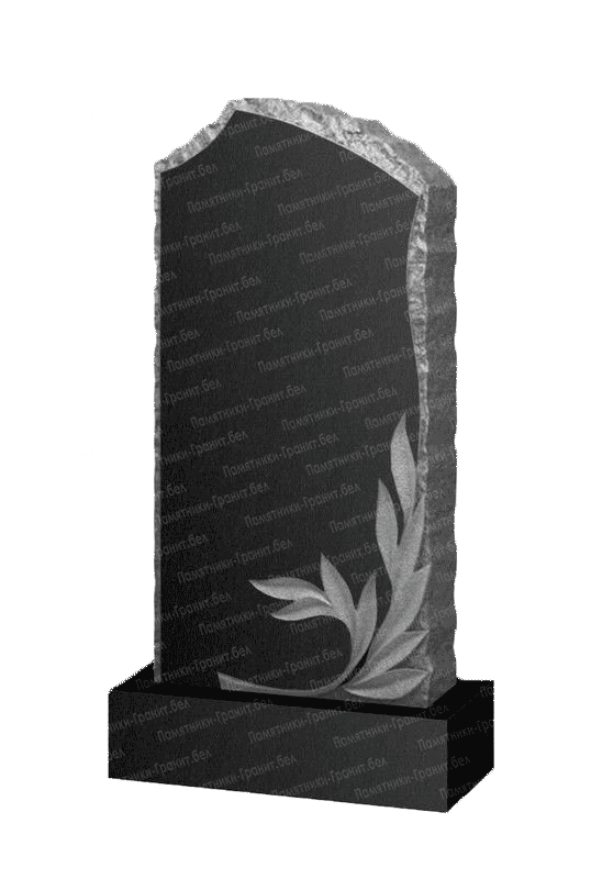 Двойные памятники в Брянск на могилу фото